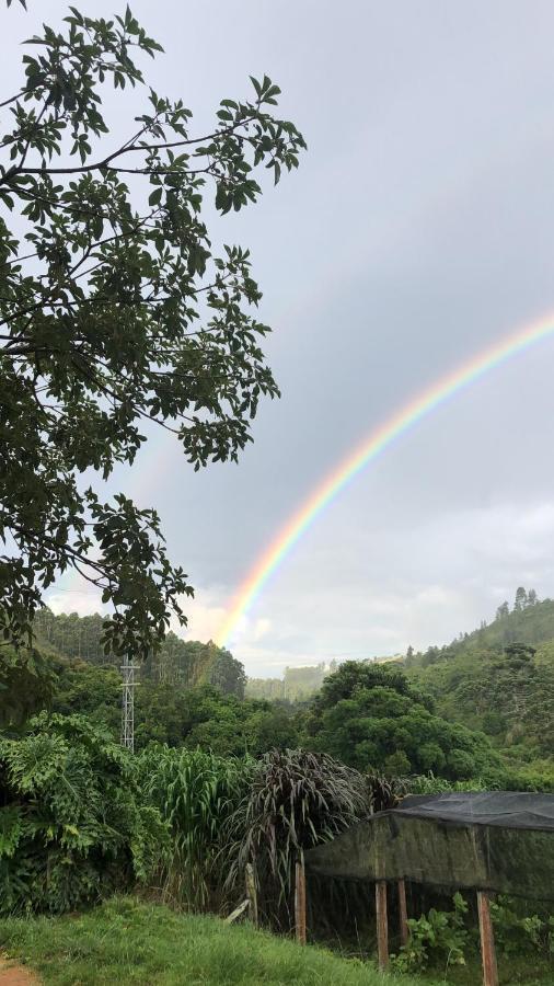 Pousada Pedra Da Mata Chales Na Montanha Munhoz Exterior foto