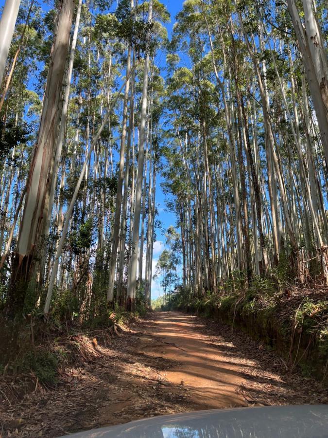 Pousada Pedra Da Mata Chales Na Montanha Munhoz Exterior foto
