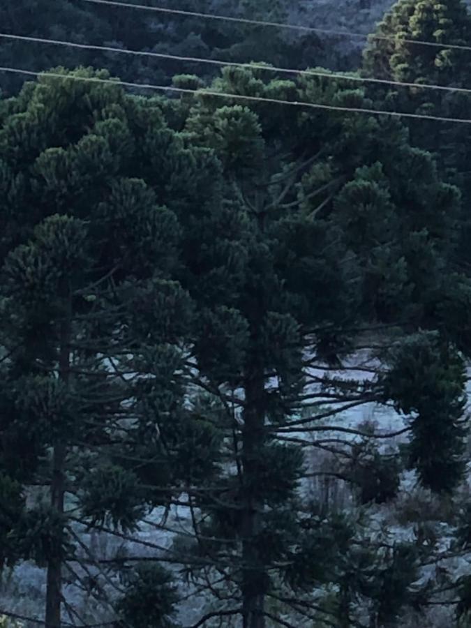 Pousada Pedra Da Mata Chales Na Montanha Munhoz Exterior foto